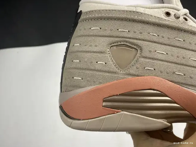 AIR Terra DC9857-200 Blush Clot 14 Jordan Low Retro 0614